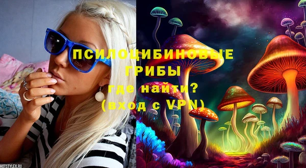 прущие грибы Алексин