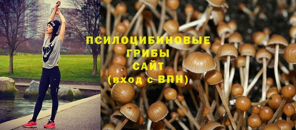 a pvp Алзамай