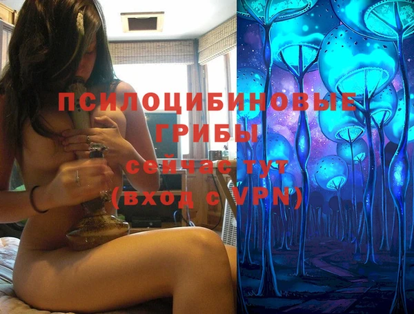 a pvp Алзамай