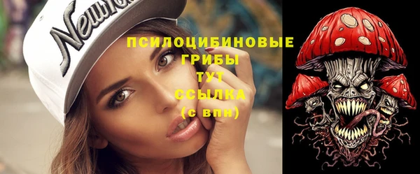 a pvp Алзамай