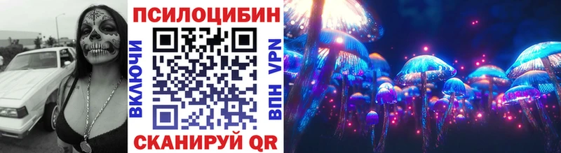 как найти наркотики  Чкаловск  Галлюциногенные грибы Psilocybe 